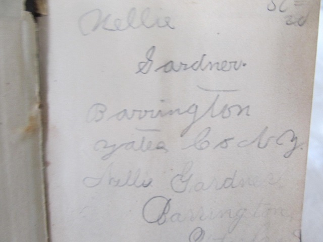 Image for 1882 ORIGINAL MANUSCRIPT DIARY HANDWRITTEN BY A CHARMING, SIMPLE WESTERN NEW YORK FARM GIRL