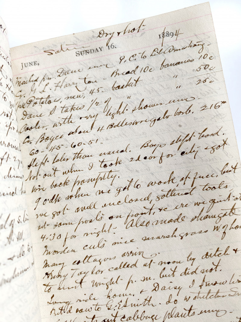 Image for 1890s ARCHIVE OF THREE [3] ORIGINAL MANUSCRIPT DIARIES BY AMERICAN CIVIL WAR VETERAN, RAILROAD BOOSTER, AND PROMINENT MEMBER OF A MICHIGAN COMMUNITY
